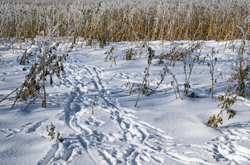 Winterlandschaft - Schneebedeckte Wege, Landschaften und Felder