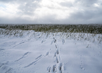 Winterlandschaft - Spuren im Schnee