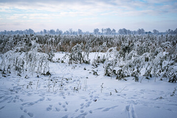 Winterlandschaft - Schneebedeckte Wege, Landschaften und Felder