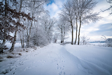 Fototapeta na wymiar Winterlandschaft - Schneebedeckte Wege, Landschaften und Felder