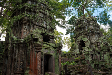 Naklejka premium Ta Prohm, Siem Reap, Cambodia - one of the many famous spots in this temple, also know for it's gigantic tree roots