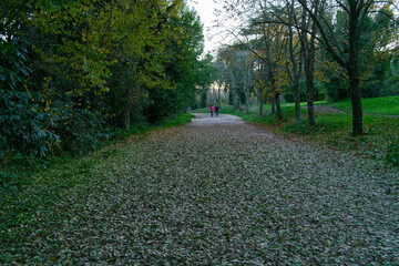 Walking path at Villa Doria Pamphili city park in Rome, Italy