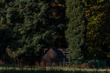 wooden small hut on the edge of the forest