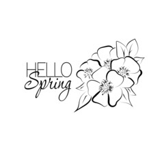Elegant line drawn of hello spring card. Vector illustration art.