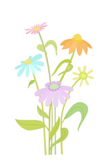 bunch of graceful flowers. invitation card with daisies for your