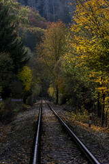 train tracks leading through the autumn colored forest