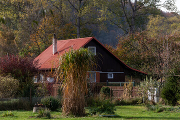 village house with a red roof among the trees