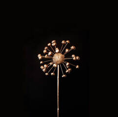An abstract golden dandelion against a black background made of horse chestnuts with bamboo sticks and a polystyrene bulb plus metallic spray paint. A fun DIY idea for the holiday season. 