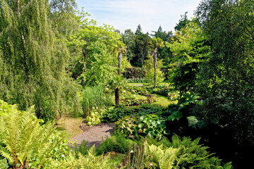 Culzean Park in summertime - Scotland