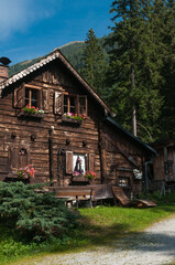 Fototapeta na wymiar Einsame Blockhütte mit Terrasse und Vordach mitten im Wald gelegen.