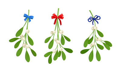 Snowberry branches with ripe berries decorated with blue and red bows set. Small twigs of shrub with white fruit vector illustration