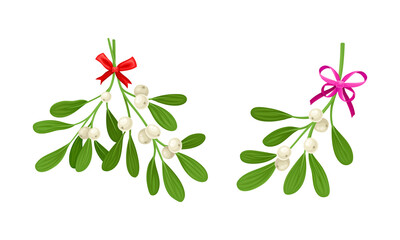 Snowberry branches with ripe berries decorated with bows set. Small twigs of shrub with white fruit vector illustration