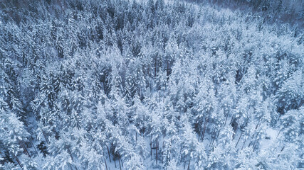 Beautiful aerial view of snow covered forest. Rime ice and hoar frost covering trees. Scenic winter landscape...