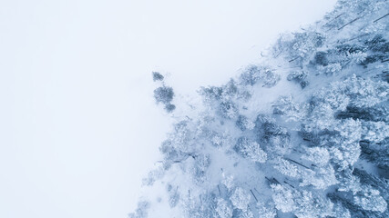  Frozen lake beside winter forest landscape. Aerial photography during winter season...