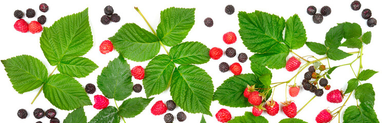 Raspberries and blackberries isolated on white . Wide photo. View from above.