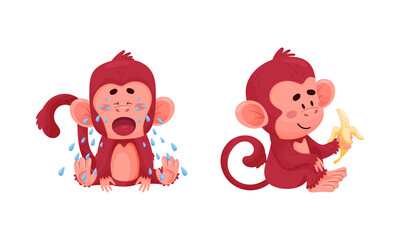 Cute funny monkeys actions set. Little baby animals crying and eating banana fruit vector illustration