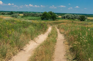 Fototapeta na wymiar Ukrainian rural landscape with an earth road through meadow to small river Sura at summer season