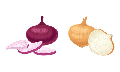Fresh whole and sliced yellow and red onion bulbs set vector illustration