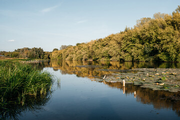 summer, lake before sunset with wooded shores