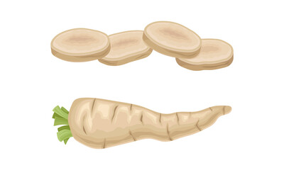 Parsley root whole and sliced set. Seasoning tuberous vegetable vector illustration