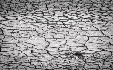 Black and white photo of cracked dry earth at dry lagoon bottom