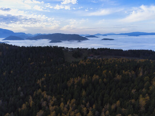 Beautiful shot of a forest near a lake in the background of a dramatic cloudy sky.
