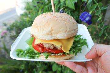 burger or pork burger or hamburger or beef burger , bun