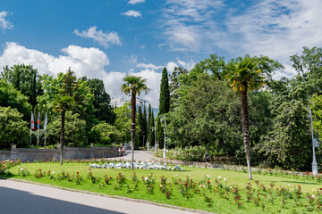 Obraz premium Beautiful summer park, a lot of greenery blue sky. Uchkuevka park Sevastopol 