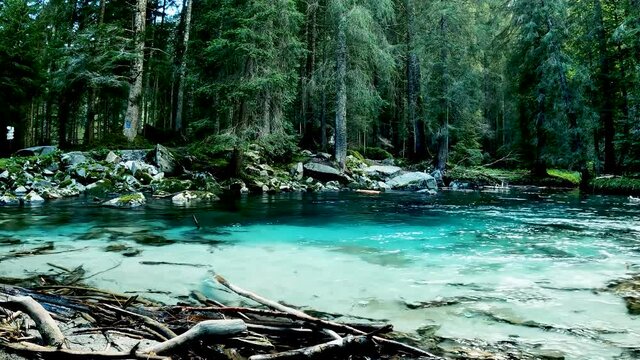 Summer Landscape on Lake Turquoise Amola