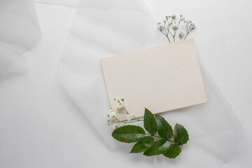 mockup card with plants. invitation card with environment Mockup with postcard 