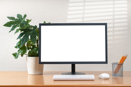 Front view of simple workspace with modern computer and office supplies. Blank screen for your text or advertising content. Plant