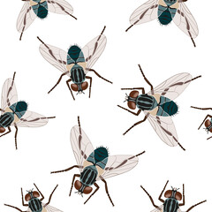 Seamless fly pattern isolated on white background. Flat vector illustration with insects.