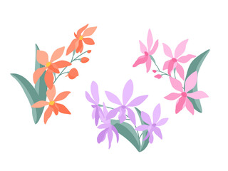 Decorative sprigs of orchid flowers (Darwinara) on a white background, flat illustration. A set of simple small delicate bouquets for your design. Flat cartoon vector illustration.