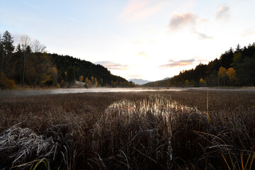 Autumn morning in the peat bog.