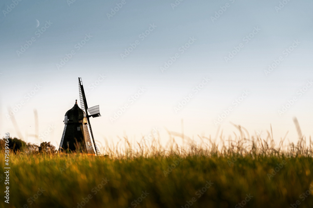 Wall mural Landscape of windmill in the green grass during sunset