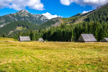 Hats in Chocholowska Valley in Tatra Mountains © Piotrek
