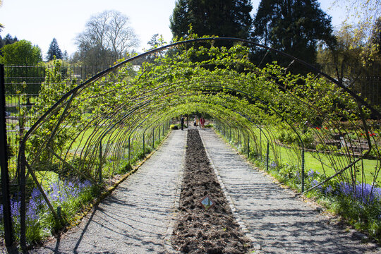 Park berso and green plants on a sunny day