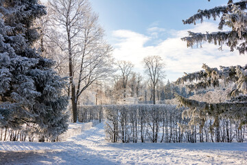 Catherine park in winter, Tsarskoe Selo (Pushkin), St. Petersburg, Russia