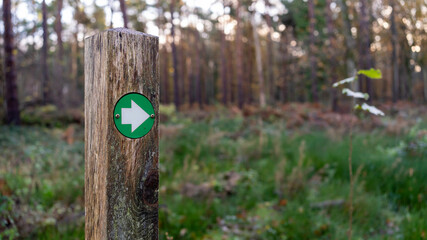 Green hiking trail marker pointing the direction in the woods