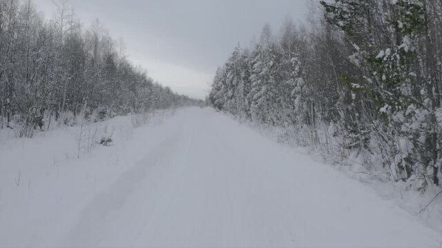 Snowmobile on winter forest highway. Clip. Beautiful winter road for extreme snowmobile driving. Extreme sports in winter