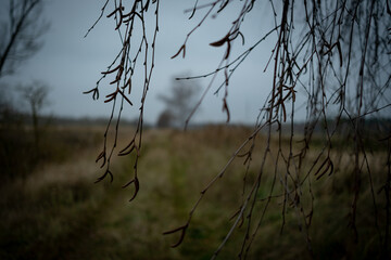 Landschaft im Herbst