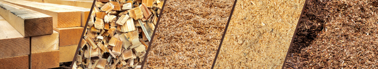 Wooden beams, sawdust and light wood shavings close-up in carpenter's workshop after processing sawn wood. Wood after processing close up