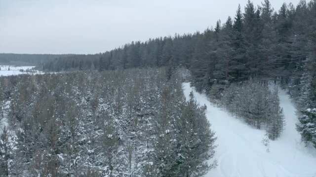 Race of two snowmobiles. Clip. Top view of fast-moving snowmobiles in forest area. Two snowmobiles are driving along road near forest in winter