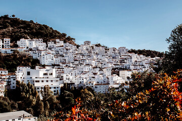 Obraz premium view of the city