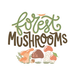 Forest Mushrooms text. Hand-drawn trendy lettering with wild mushrooms, plants and leaves. Colorful seasonal vector illustration. Creative stylish design.