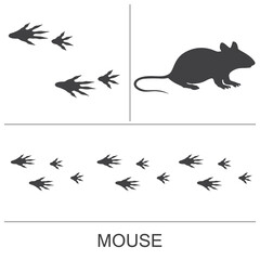 Mouse silhouette and prints of the hind and fore paws. Vector illustration on a white background.