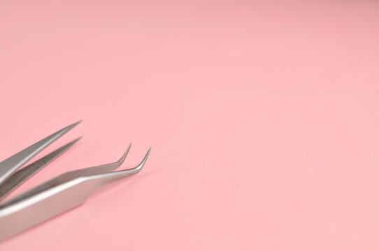 pink flower on a white