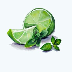 Fototapeta premium Hand drawn watercolor lime pieces and mint