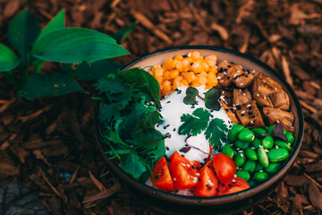 poke bol with chicken on the background of wood chips and green plants