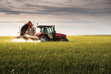 Tractor spraying pesticides wheat field.